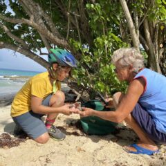 STAR-turtle-rescue-St-Croix