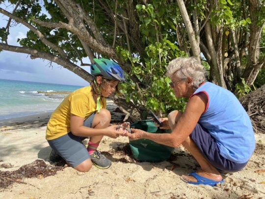 STAR-turtle-rescue-St-Croix